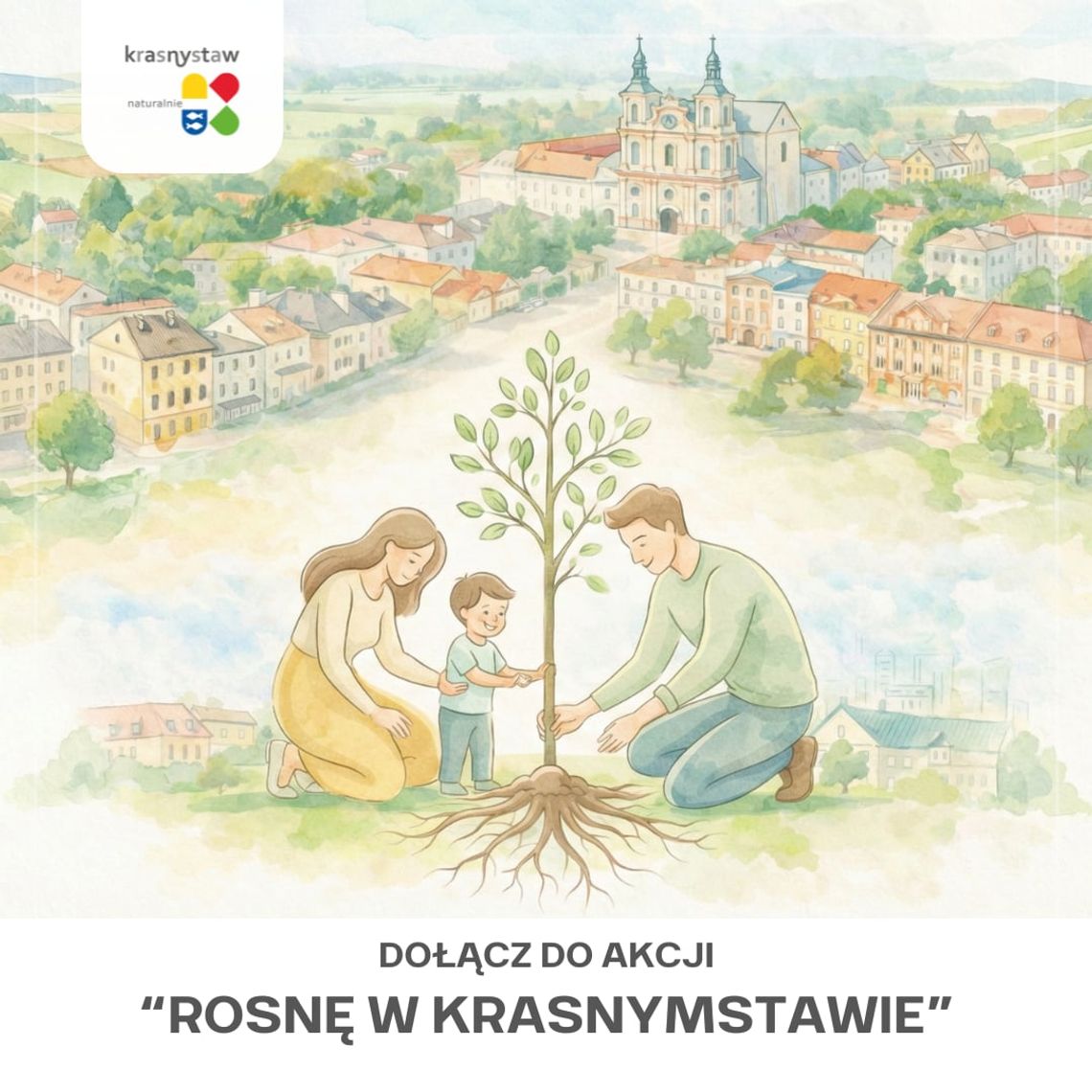 Wiadomości lokalne. Zielony prezent od miasta. Mali krasnostawianie będą mieć swoje własne drzewa Wiadomości lokalne. Zielony prezent od miasta. Mali krasnostawianie będą mieć swoje własne drzewa