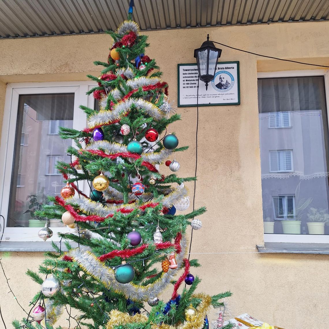 Wigilia pod dachem – święta w schronisku dla bezdomnych