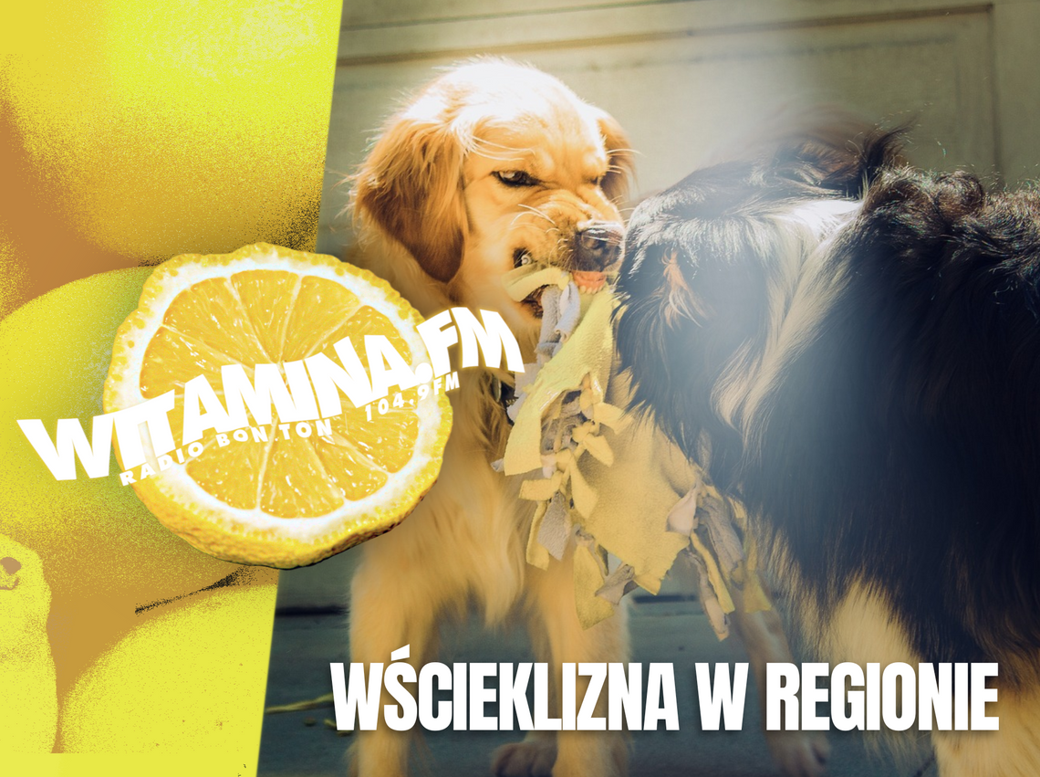 Wścieklizna w regionie! - Witamina.FM