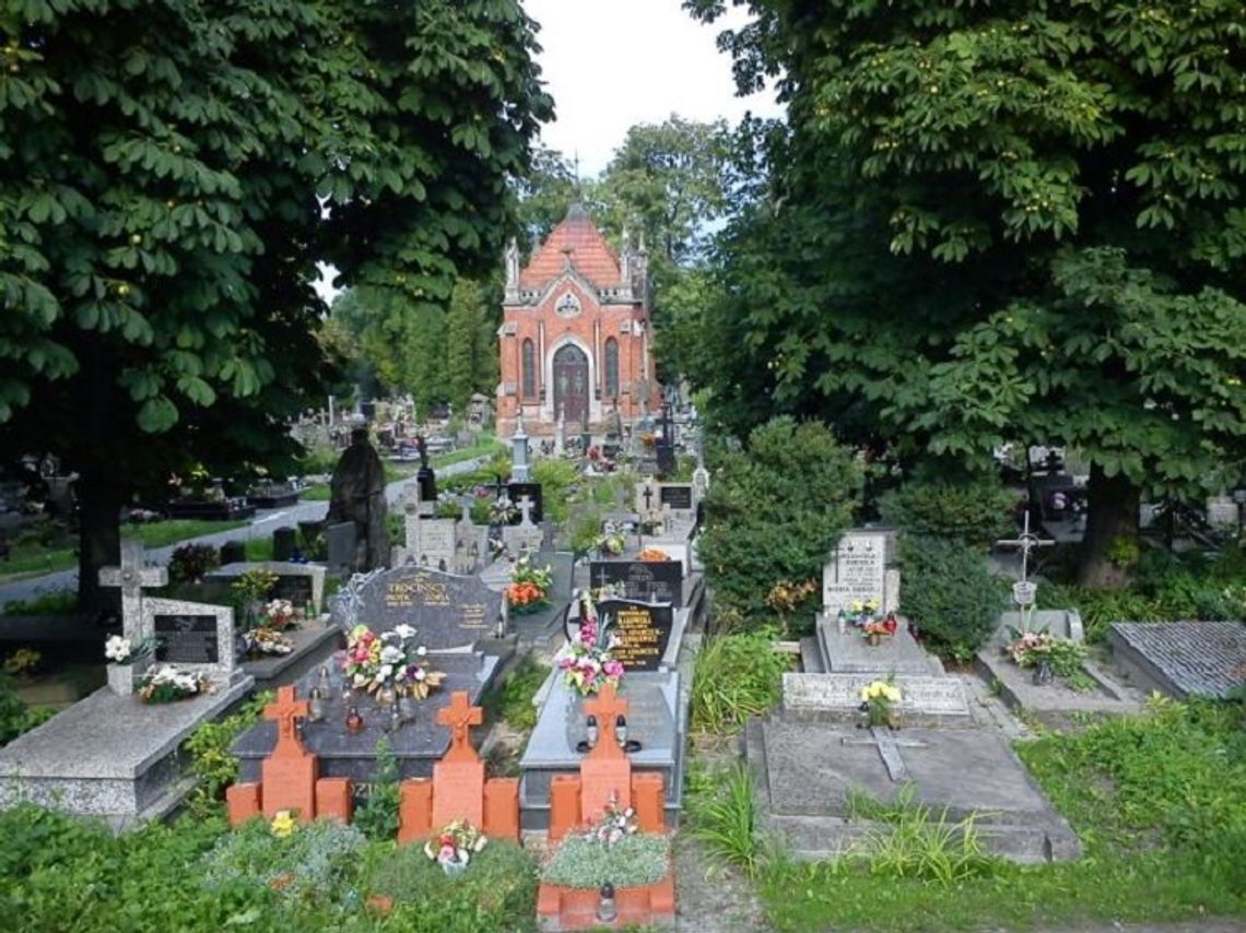 Wyszukiwarka grobów na cmentarzu przy ul. Lwowskiej już dostępna