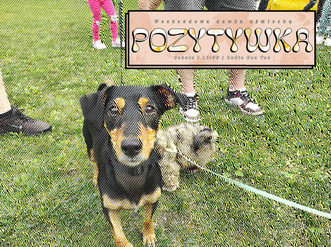 Zwierzaki w chełmskim parku! - Pozytywka - 27.09.2025