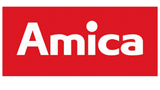 Amica Group - polski producent sprzętu AGD 