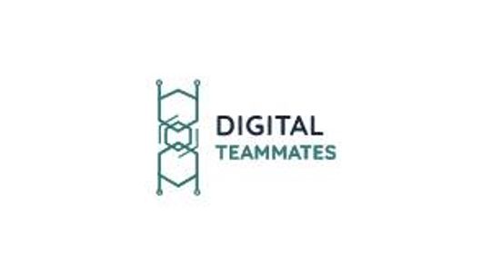 Robotyzacja procesów - Digital Teammates
