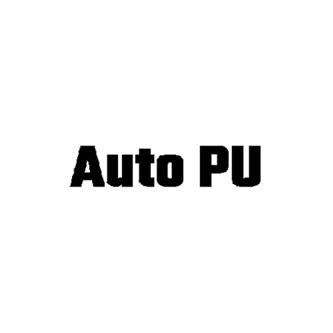 AUTO PU