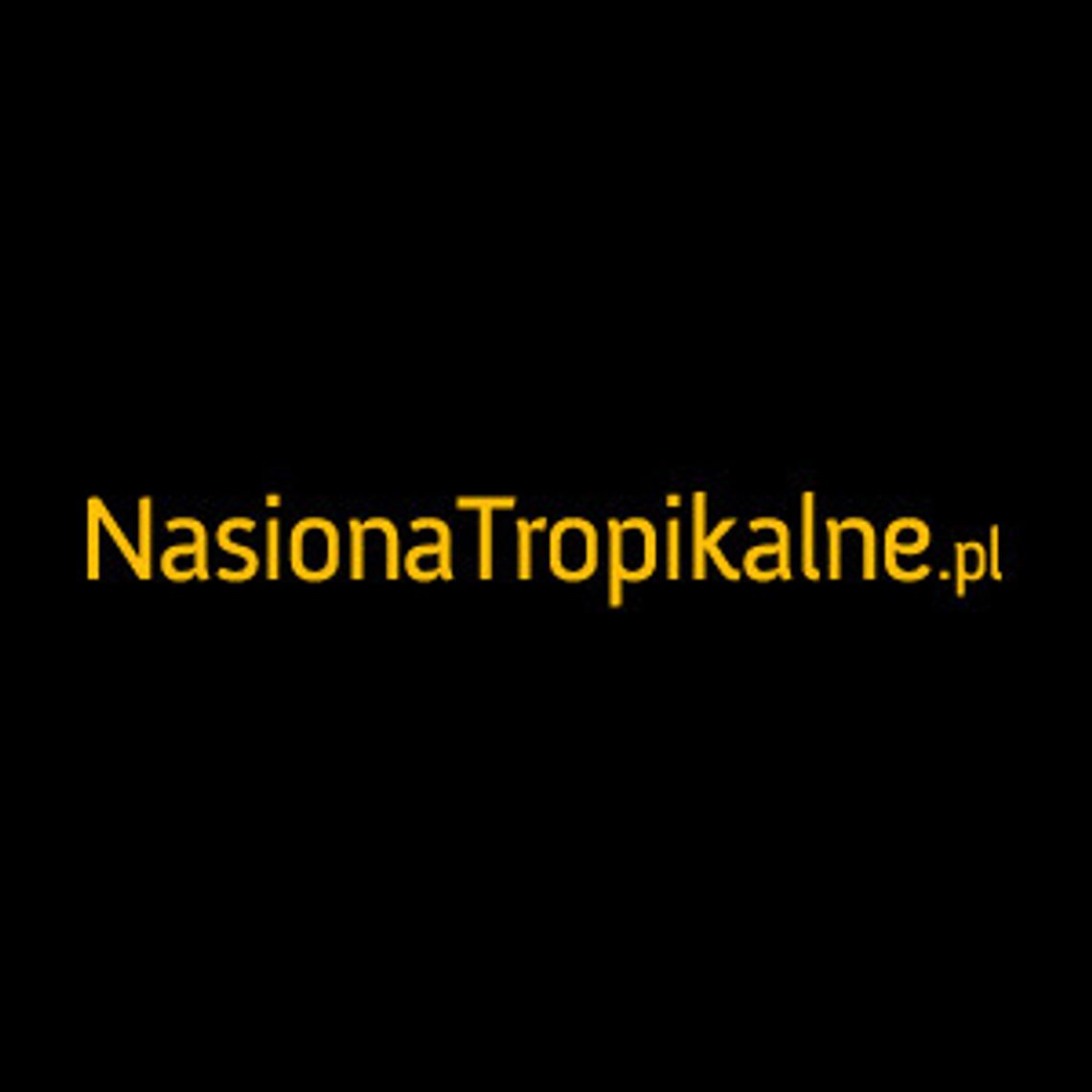 Egzotyczne nasiona różnego typu - Nasiona Tropikalne