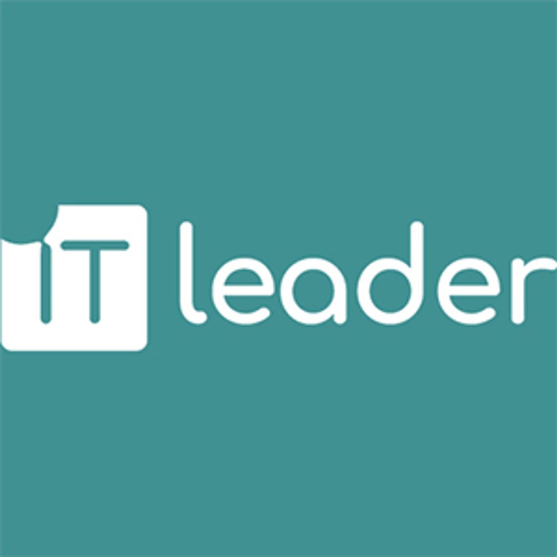 IT leader - outsourcing IT