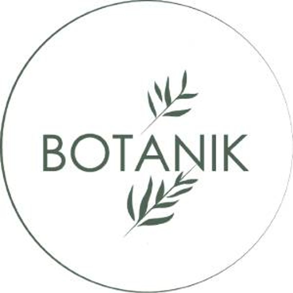 Lilie - Botanik