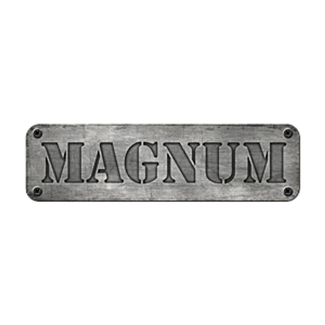 Strzelanki ASG - Magnum Arena
