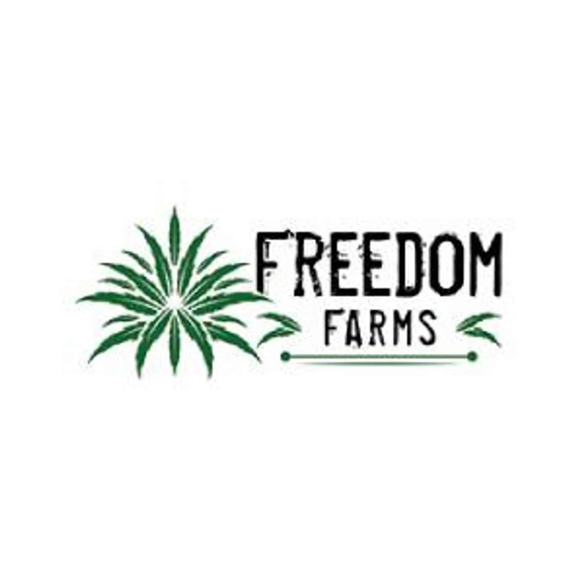 Susz konopny - Freedom Farms