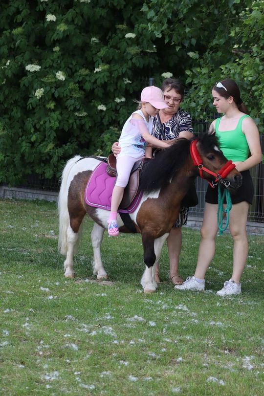 Gm. Chełm. Nadbużańskie Święto Pszczoły w Okszowie 2026 [GALERIA ZDJĘĆ]