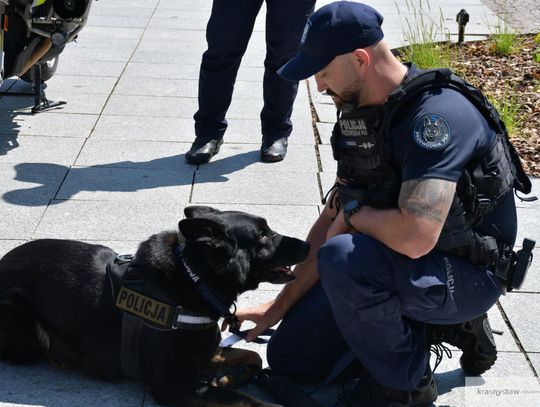 Rodzinny Piknik Policyjny w Krasnymstawie [GALERIA ZDJĘĆ]