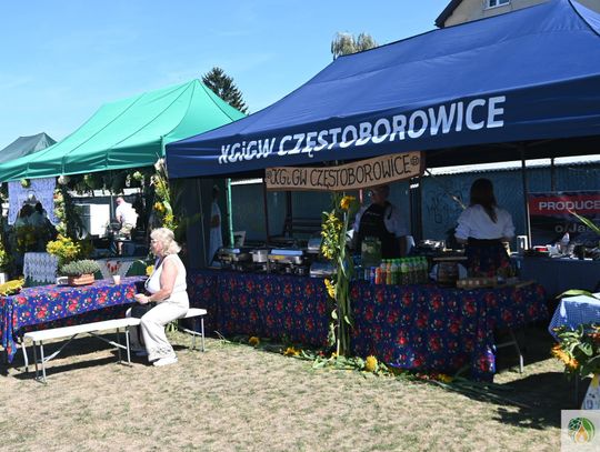 Wojewódzkie Święto Ziół w Fajsławicach [GALERIA ZDJĘĆ]